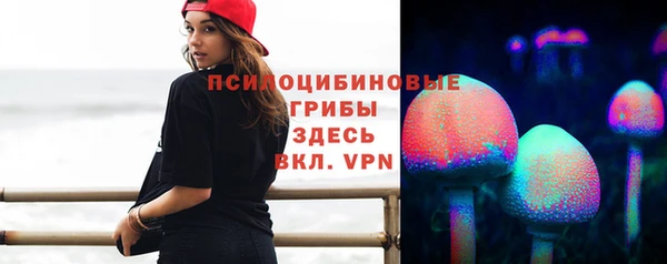 героин Алексин