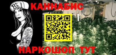 прущие грибы Ставрополь