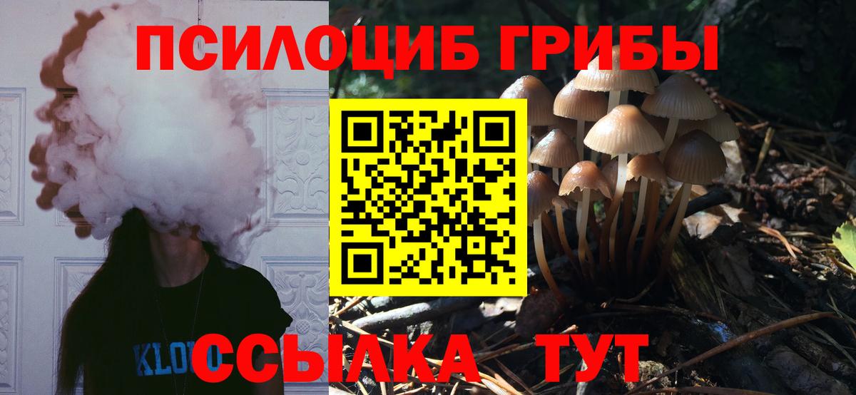 Галлюциногенные грибы Cubensis Орск